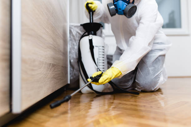 Best Wildlife Control Services  in Terryville, NY