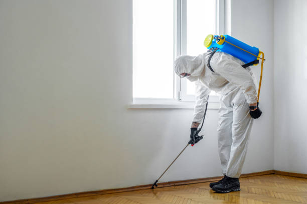 Pest Control for Restaurants in Terryville, NY