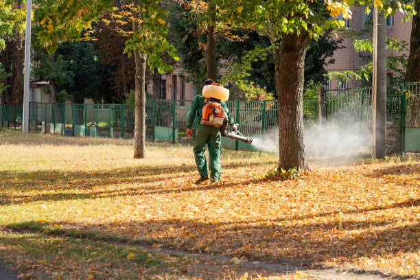 Bird Control in Terryville, NY