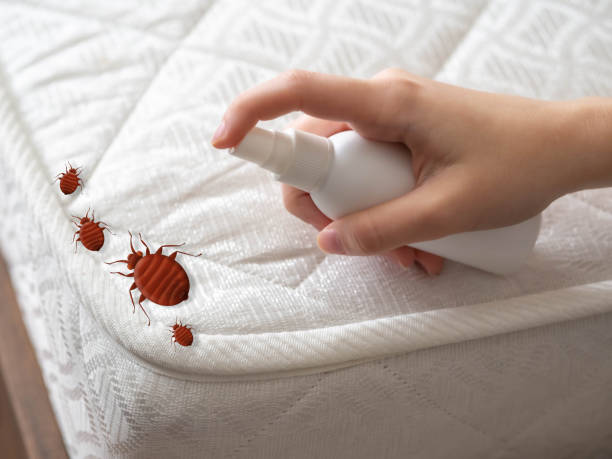 Best Pest Control Near Me  in Terryville, NY