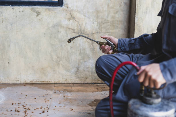 Best Exterminator Services  in Terryville, NY