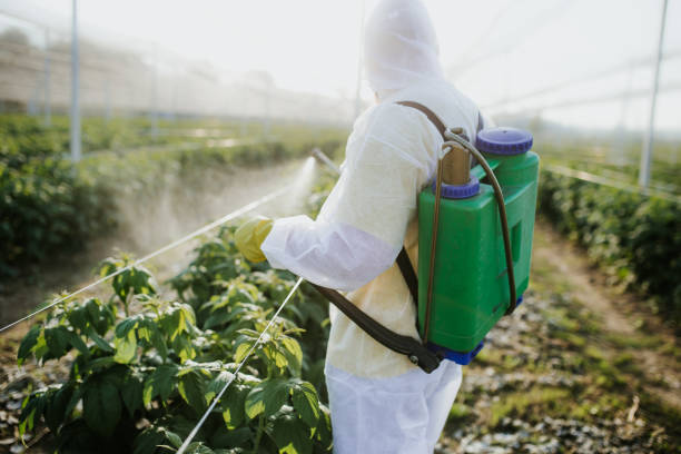 Best Affordable Pest Control Services  in Terryville, NY